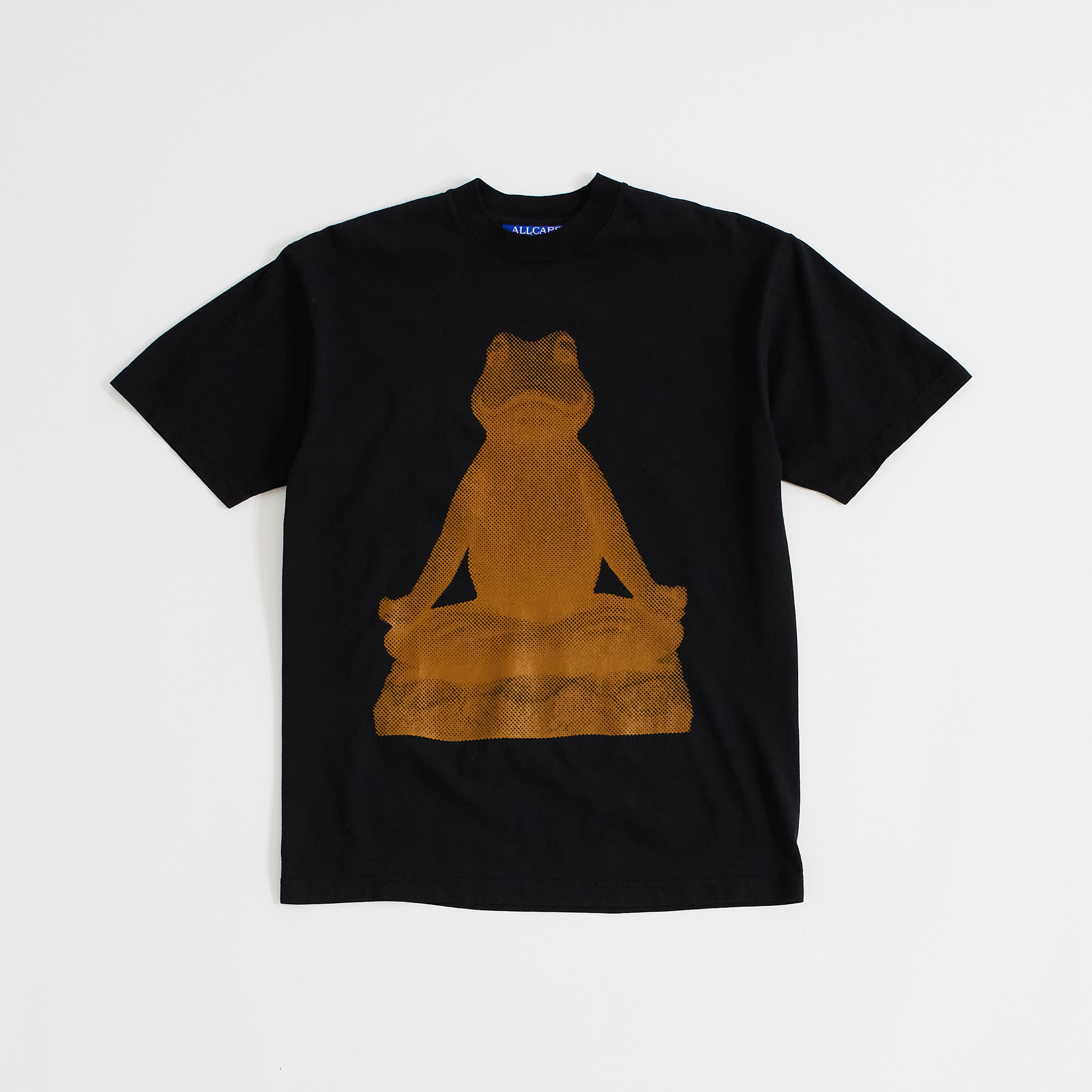 Yoga Frog T-Shirt (Black)